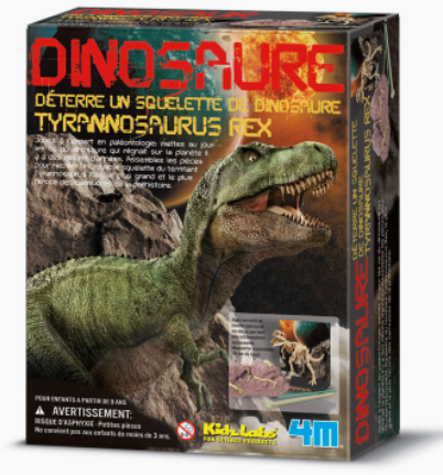 Déterre un squelette de dinosaure : Tyrannosaure Rex 4M