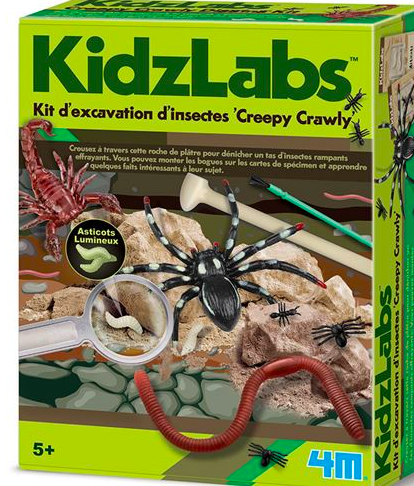 Kit d'excavation d'insectes - Kids Labz 4M